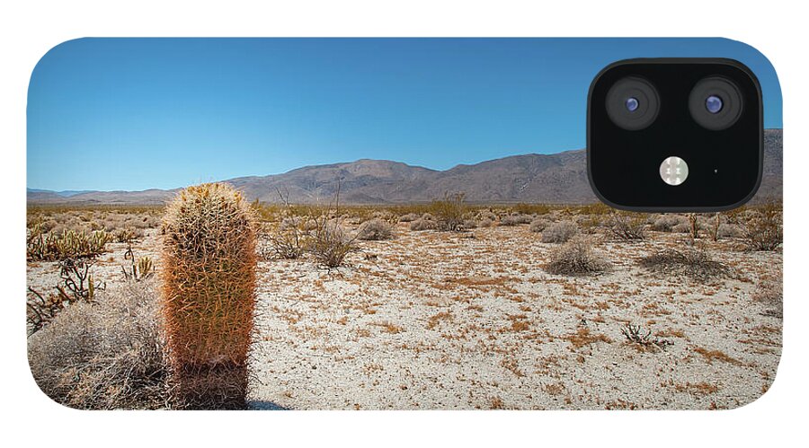 Anza-borrego Desert State Park iPhone 12 Case featuring the photograph Lone Barrel Cactus by Mark Duehmig