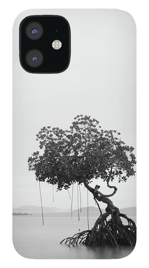 Scenics iPhone 12 Case featuring the photograph Lonely Tree by Ed Rojas