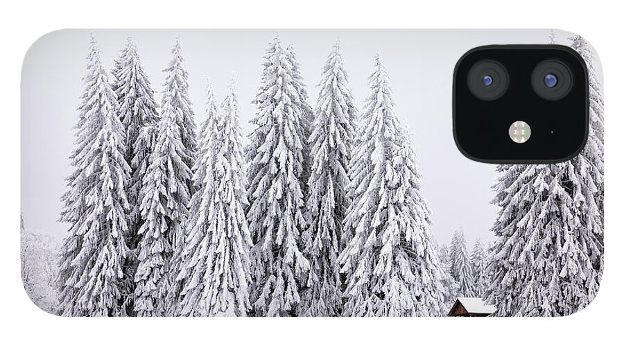 Chalet iPhone 12 Case featuring the photograph Lost in Winter by Dominique Dubied