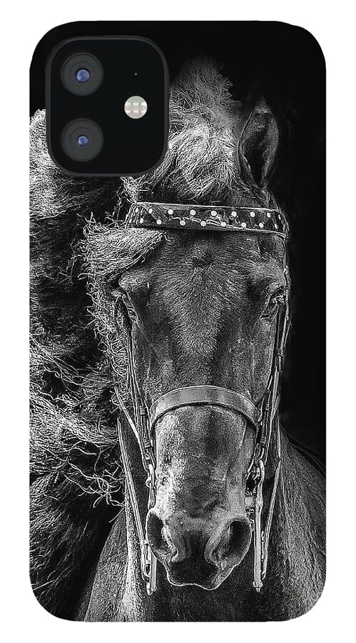 Horse iPhone 12 Case featuring the photograph Majestic Friesian by JBK Photo Art