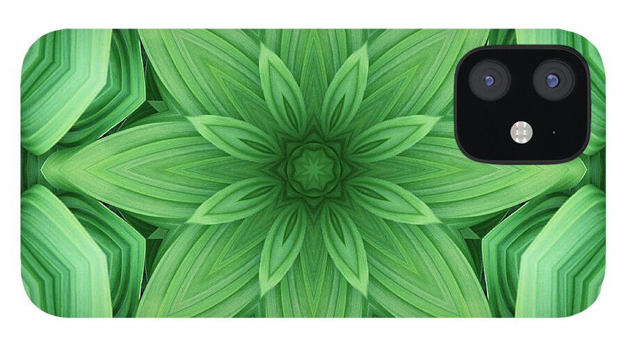 Symmetry iPhone 12 Case featuring the photograph Mandala 2 by Steve Satushek