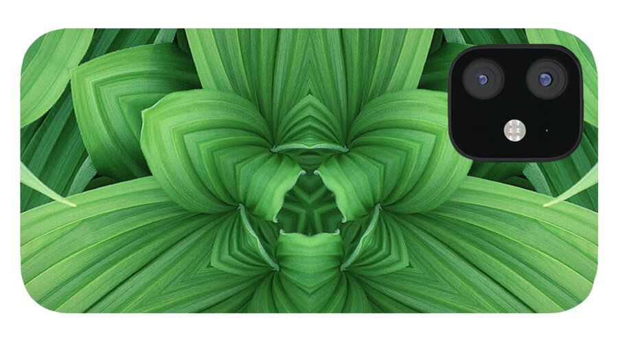 Symmetry iPhone 12 Case featuring the photograph Mandala 4 by Steve Satushek