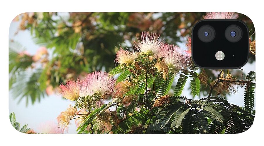 Mimosa iPhone 12 Case featuring the photograph Mimosa Tree Flowers by Christopher Lotito