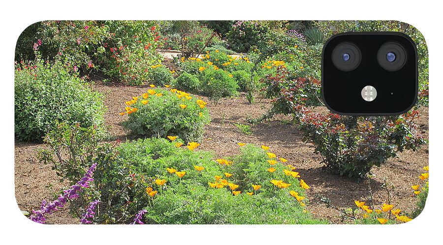 Garden iPhone 12 Case featuring the photograph Mission Garden by Laura Smith