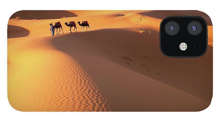 Working Animal iPhone 12 Case featuring the photograph Morocco, Sahara Desert, Camel Driver by Peter Adams