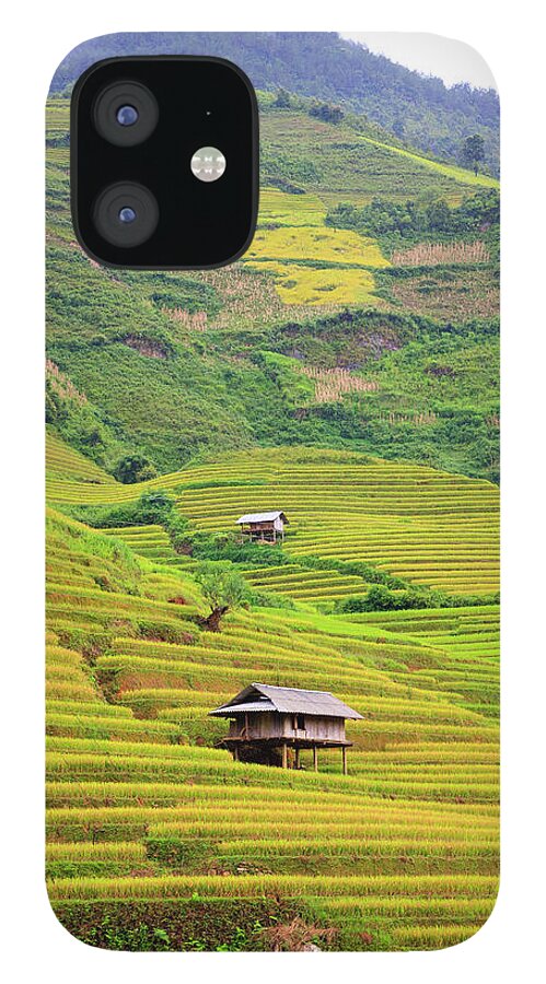 Rice Paddy iPhone 12 Case featuring the photograph Mountainous Rice Field by Akari Photography