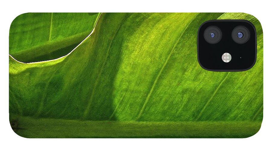James Temple iPhone 12 Case featuring the photograph Natural Flow by James Temple