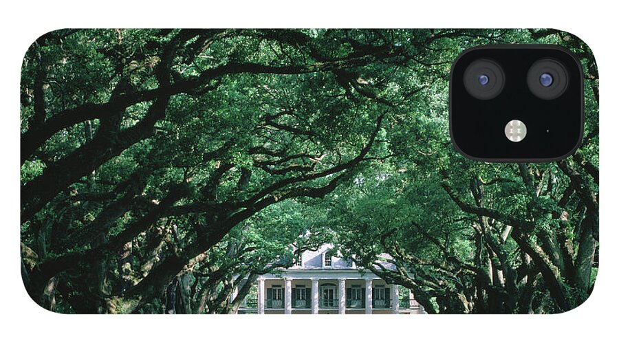 Grass iPhone 12 Case featuring the photograph Oak Alley Plantation In Mississippi by John Elk Iii