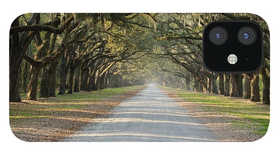 Allee iPhone 12 Case featuring the photograph Oak Avenue by Bradford Martin