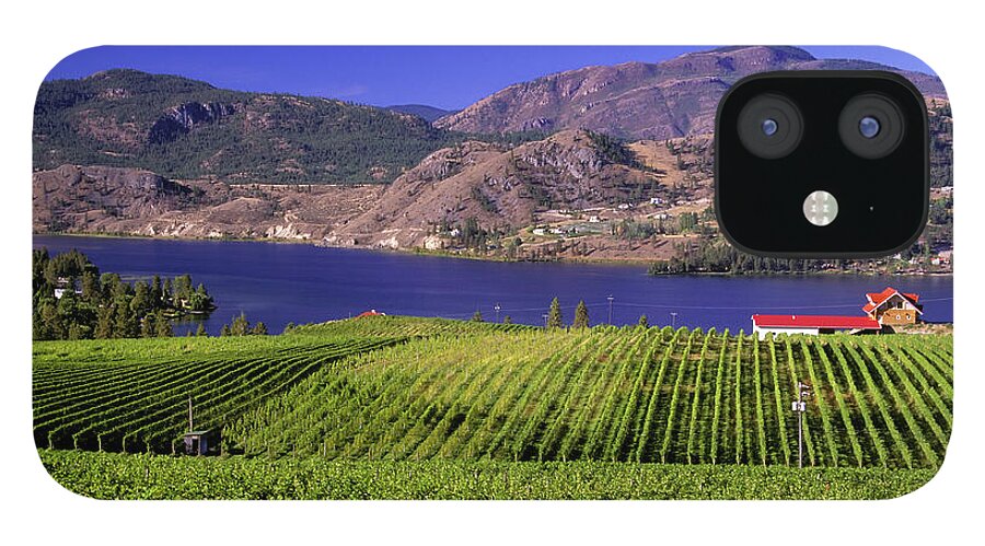 Scenics iPhone 12 Case featuring the photograph Okanagan Valley Vineyard by Laughingmango