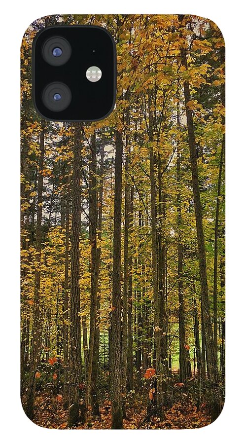 Autumn iPhone 12 Case featuring the photograph Orcas Island Color by Jerry Abbott