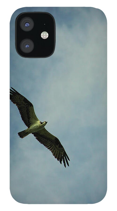 Idaho iPhone 12 Case featuring the photograph Osprey in flight by Jean Evans