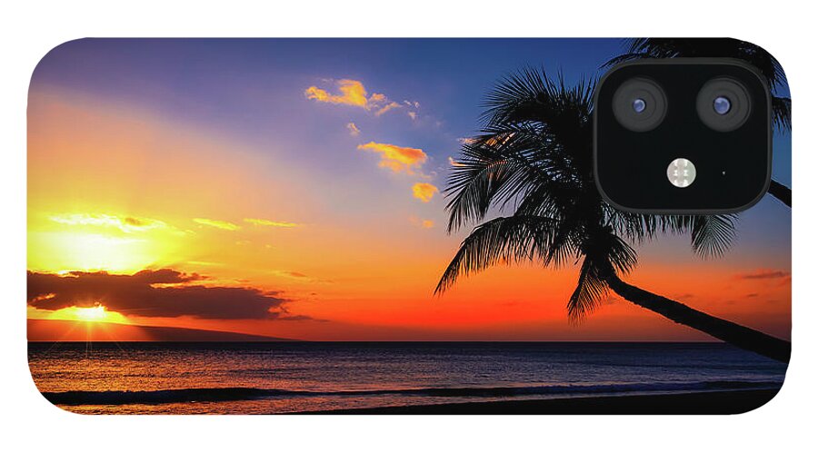 Palm Trees Sunset iPhone 12 Case featuring the photograph Palm Trees Sunset by Jonathan Ross