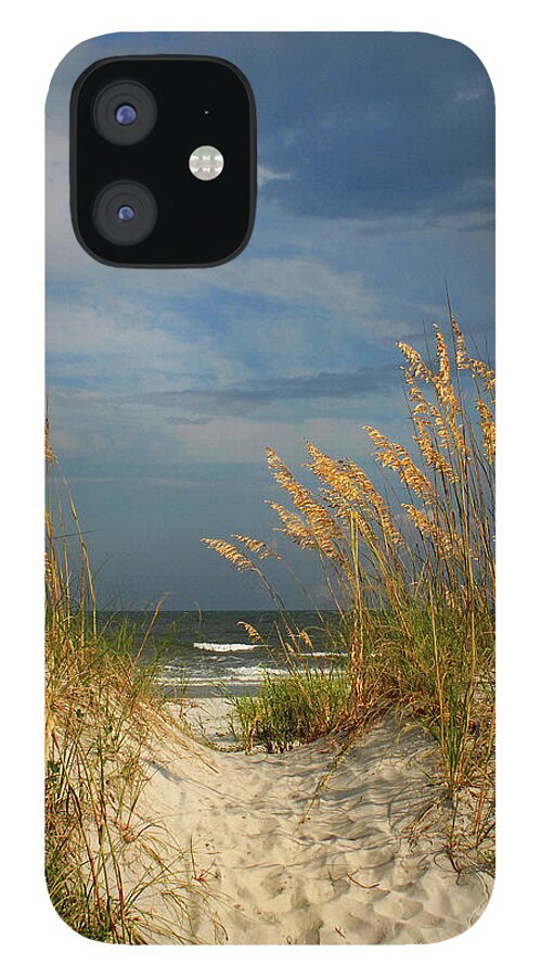 Ocean iPhone 12 Case featuring the photograph Path to the Ocean by Jerry Griffin