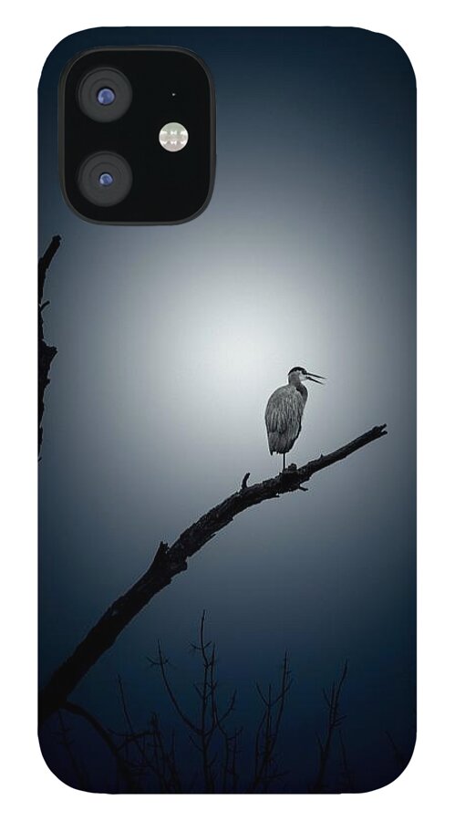 Blue Heron iPhone 12 Case featuring the photograph Perched by Phil S Addis
