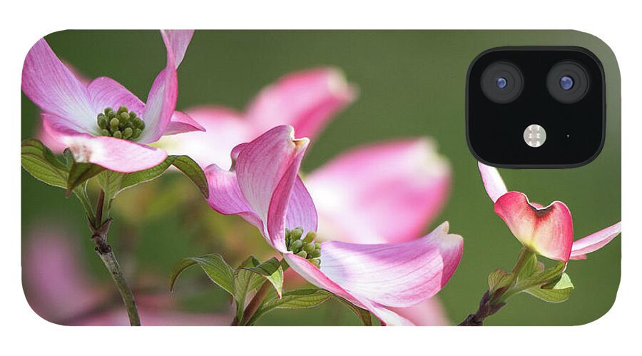 Pink iPhone 12 Case featuring the photograph Pink Dogwood by Mary Ann Artz