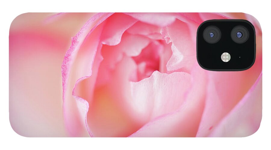 Single Object iPhone 12 Case featuring the photograph Pink Elegance by Debralee Wiseberg