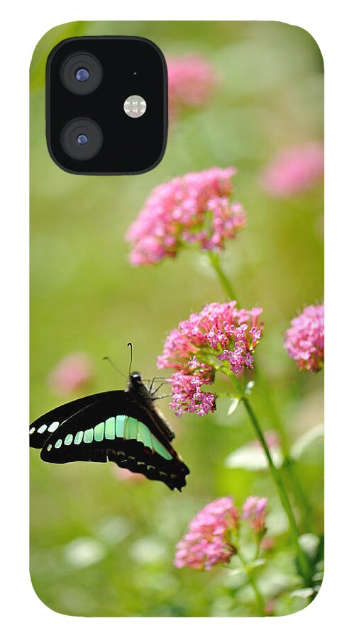 Insect iPhone 12 Case featuring the photograph Pink Flowers by Myu-myu