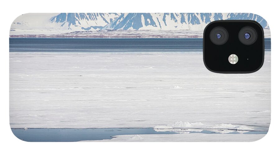 Iceberg iPhone 12 Case featuring the photograph Polar Bear On Arctic Sea Ice by Nailzchap