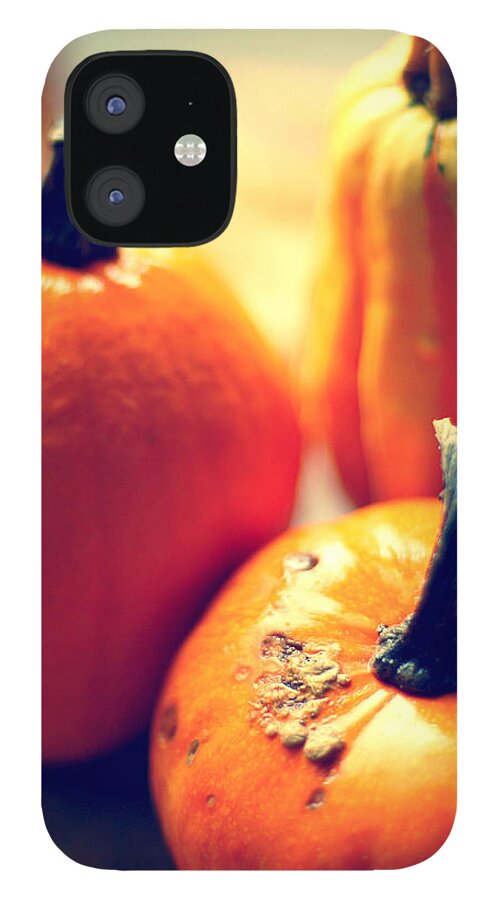 Orange Color iPhone 12 Case featuring the photograph Pumpkins by Photo By Ira Heuvelman-dobrolyubova