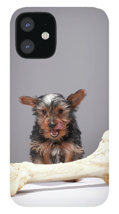 Pets iPhone 12 Case featuring the photograph Puppy With Oversized Bone by Martin Poole