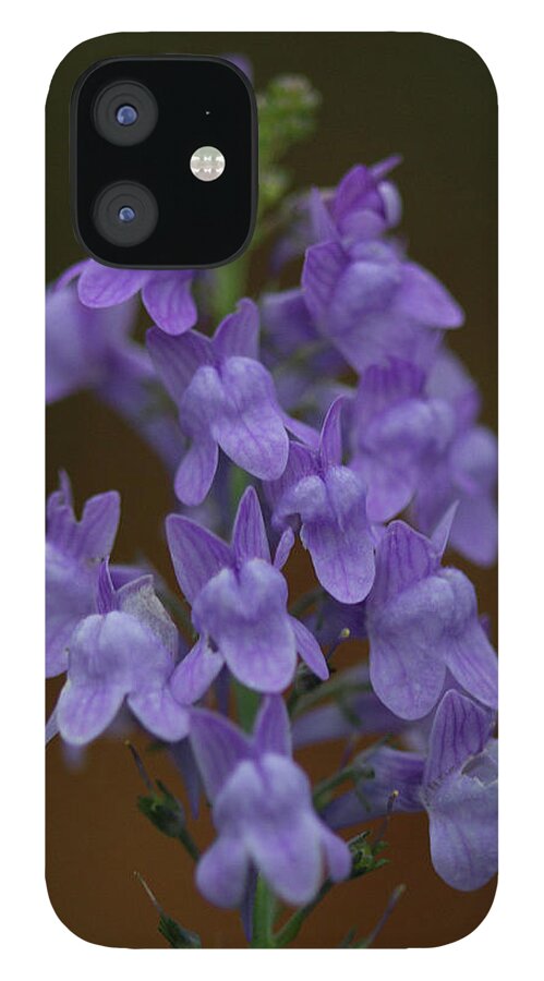 Purple iPhone 12 Case featuring the photograph Purple Toadflax Flowers by Dr T J Martin