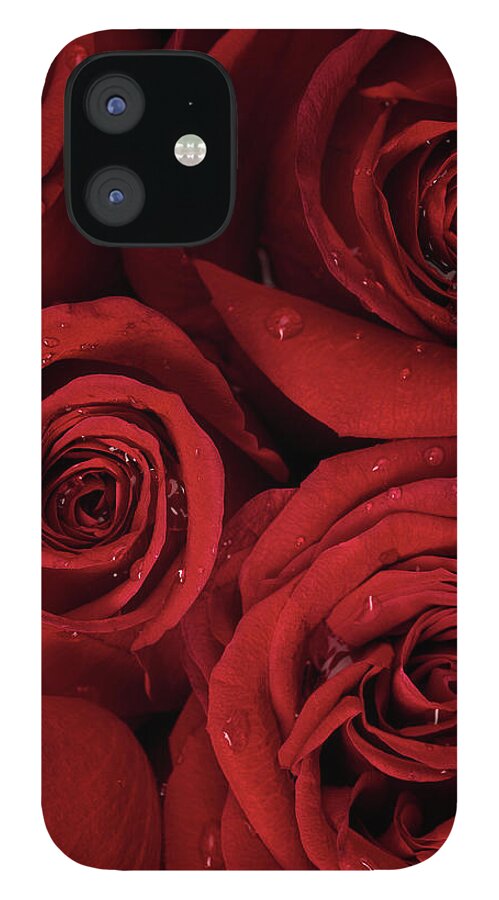 Home Decor iPhone 12 Case featuring the photograph Red Roses, Dew Drops, Flower, Valentine by 1photodiva