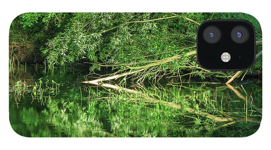 Spreewald iPhone 12 Case featuring the photograph Reflection in the Spreewald by Sun Travels