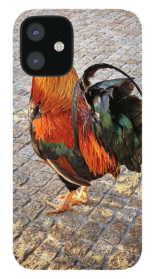 Rooster iPhone 12 Case featuring the photograph Rooster Strut by Jill Love