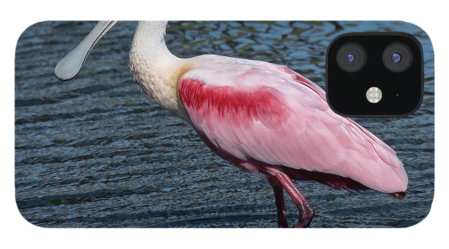 Roseate Spoonbill iPhone 12 Case featuring the photograph Roseate Spoonbill by Ken Stampfer