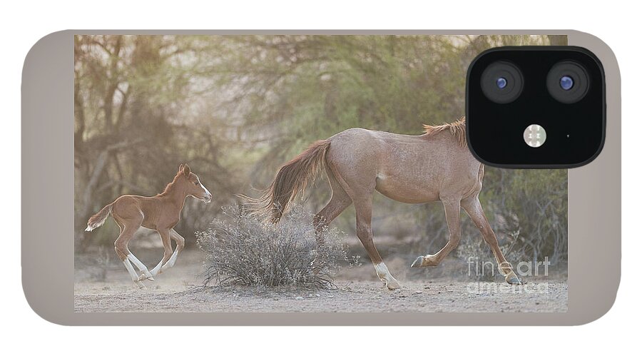 Foal iPhone 12 Case featuring the photograph Running by Shannon Hastings