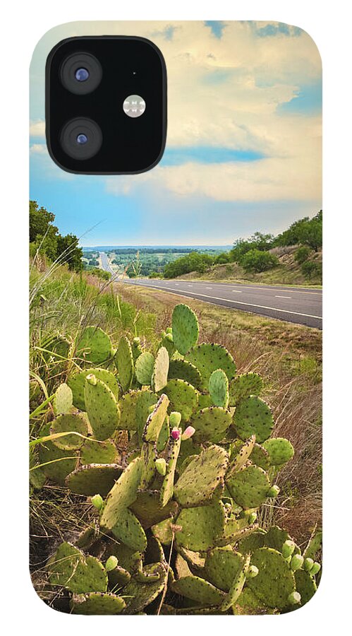Scenics iPhone 12 Case featuring the photograph Rural Texas Highway, Prickly Pear by Dszc