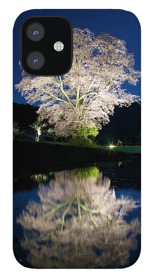 Scenics iPhone 12 Case featuring the photograph Sakura Night by Photoaraki.com