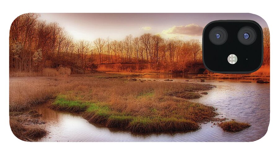 Scenics iPhone 12 Case featuring the photograph Salt Marsh In The Sunset by Frank Slack