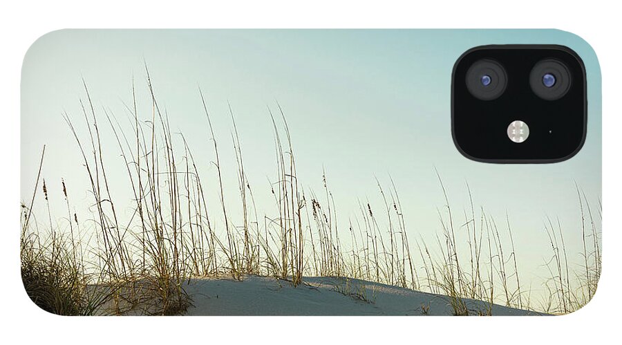 Sea Oats iPhone 12 Case featuring the photograph Sea Oats in the Sunlight by Mike Whalen