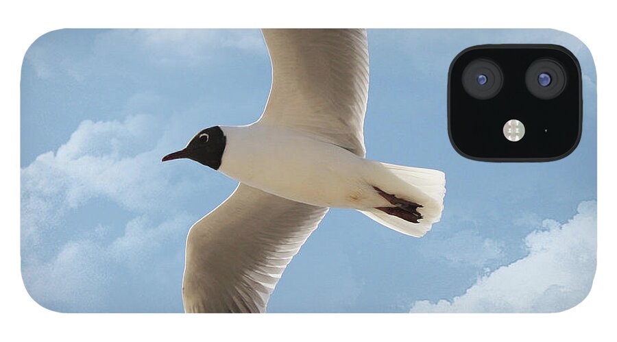 Animal Themes iPhone 12 Case featuring the photograph Seagull Flies Alone Under Blue Sky And by Margarete Nazarczuk