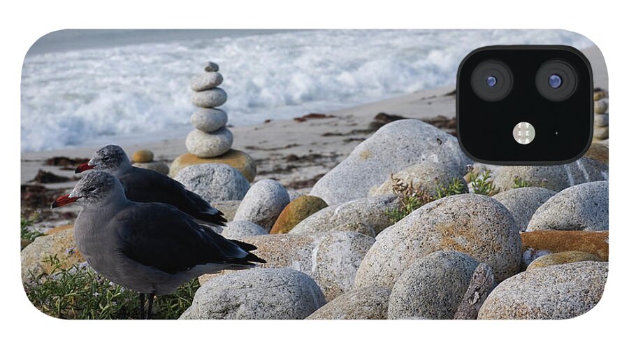 Heap iPhone 12 Case featuring the photograph Seagull On The Beach by Marcomarchi