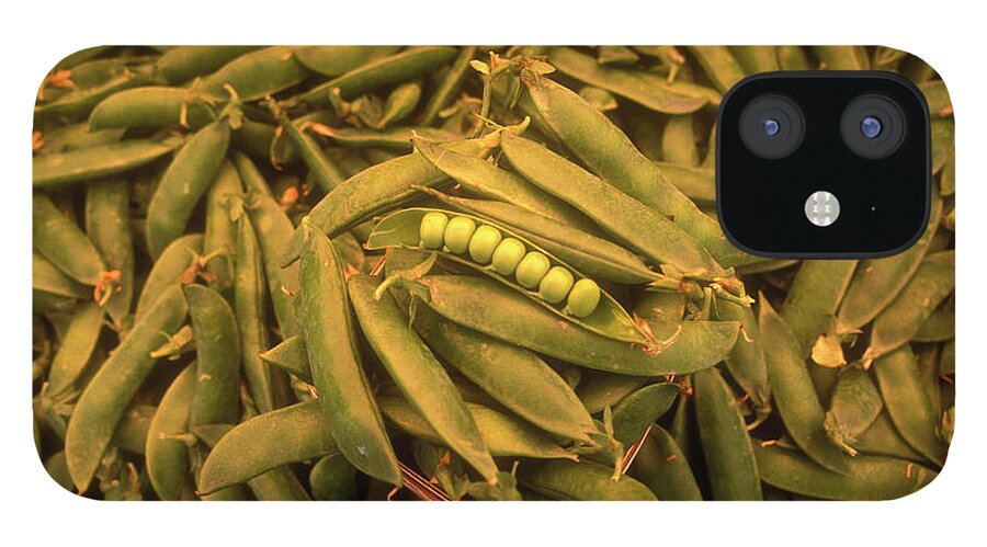 Pea Pod iPhone 12 Case featuring the photograph Seven Peas In A Pod, On A Pile Of Pea by Lyle Leduc