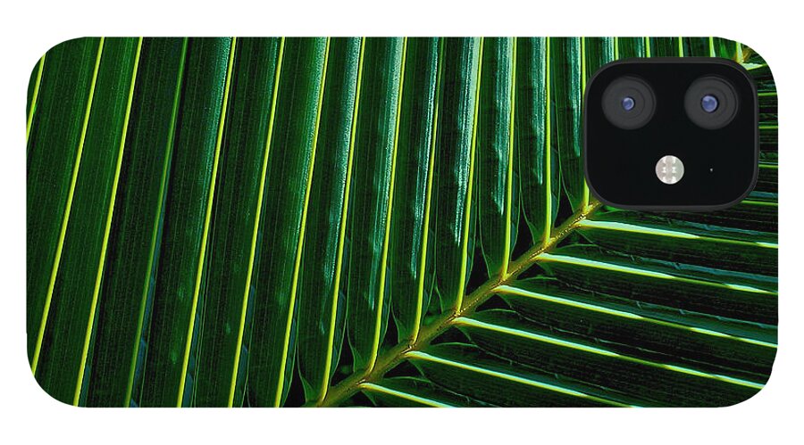Shade iPhone 12 Case featuring the photograph Shade by James Temple