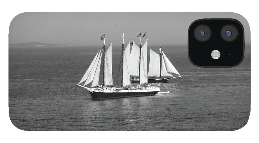 Sloop iPhone 12 Case featuring the photograph Ships passing by Jean Evans