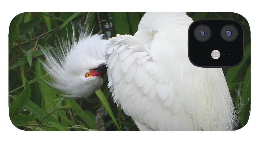 Egret iPhone 12 Case featuring the photograph Shy Egret by Scott Cameron