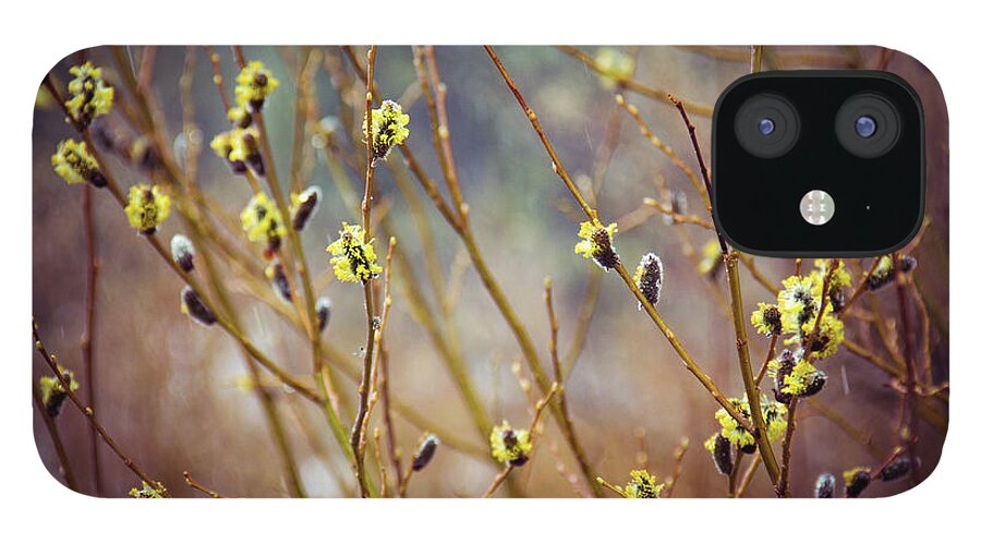Flowers iPhone 12 Case featuring the photograph Snowfall on Budding Willows by Laura Roberts