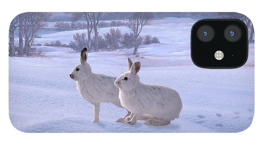 Hare iPhone 12 Case featuring the digital art Snowshoe Hares by M Spadecaller