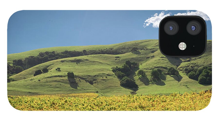 Scenics iPhone 12 Case featuring the photograph Sonoma Valley Winery Vines by Ivanastar