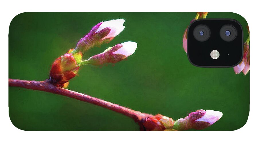 Tree iPhone 12 Case featuring the photograph Spring Buds - Weeping Cherry Tree by Tom Mc Nemar