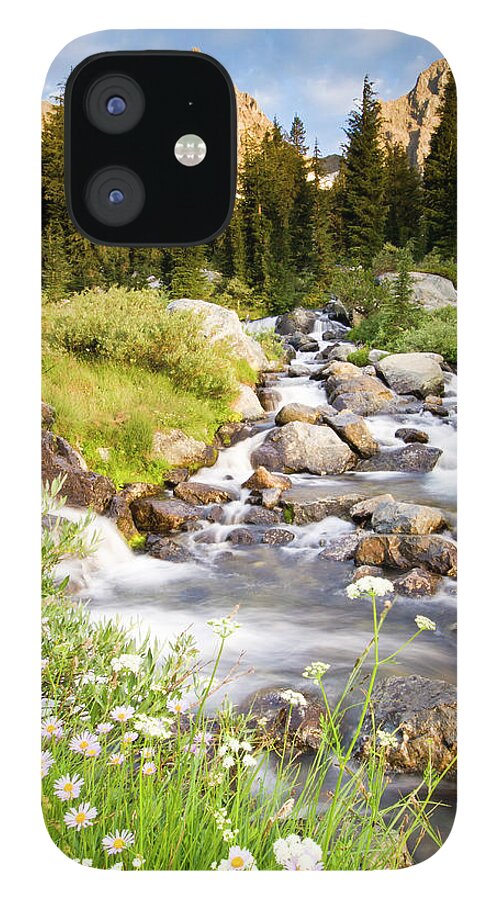Scenics iPhone 12 Case featuring the photograph Spring Flowers And Flowing Water Below by Josh Miller Photography