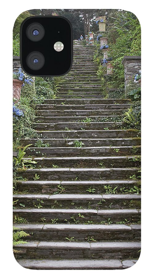 Steps iPhone 12 Case featuring the photograph Stone Steps In Garden by Andrew Holt