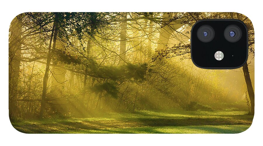 Shadow iPhone 12 Case featuring the photograph Sunbeams And Fog Mingle In The Yard At by Jamesbrey