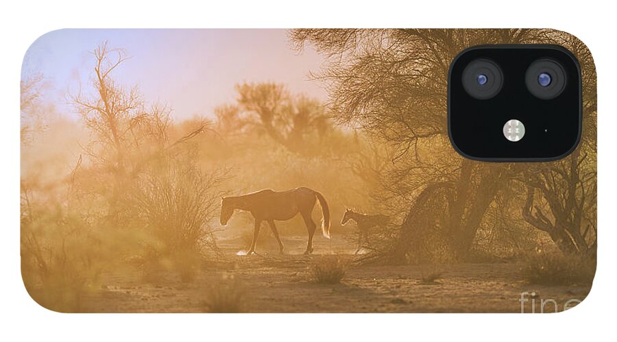 Cute iPhone 12 Case featuring the photograph Sunrise Walk by Shannon Hastings
