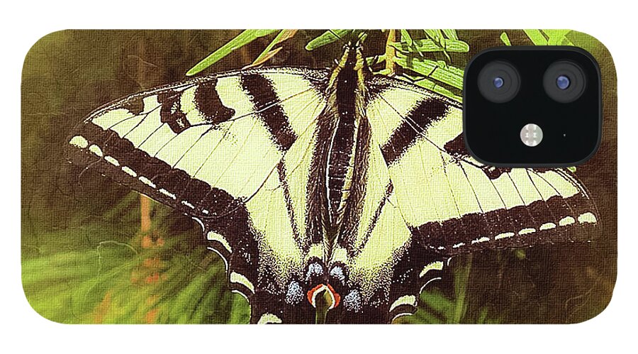 Mona Stut iPhone 12 Case featuring the digital art Tiger Swallow Tail Papilio Natural Habitat by Mona Stut